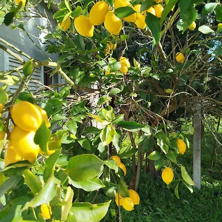 Cosy Loft By L'arche De Jo