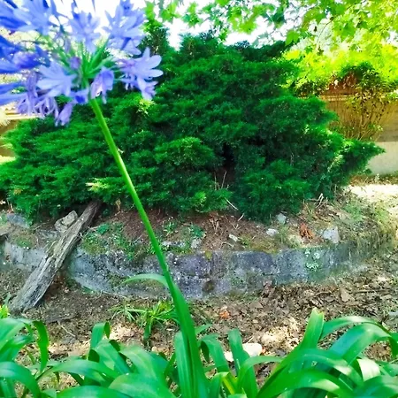 Cosy Loft By L'arche De Jo Santana (Coimbra)