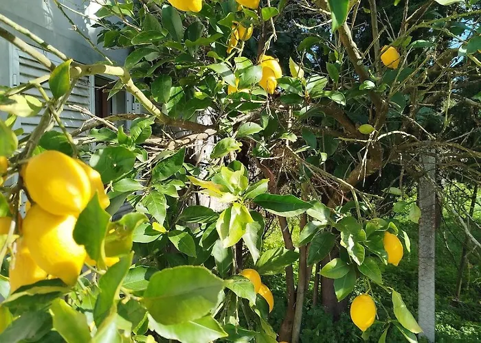 Cosy Loft By L'arche De Jo