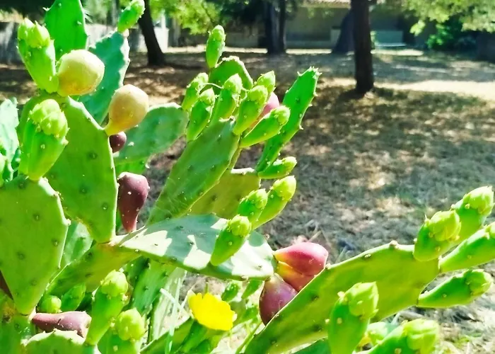 Cosy Loft By L'arche De Jo Lejlighed