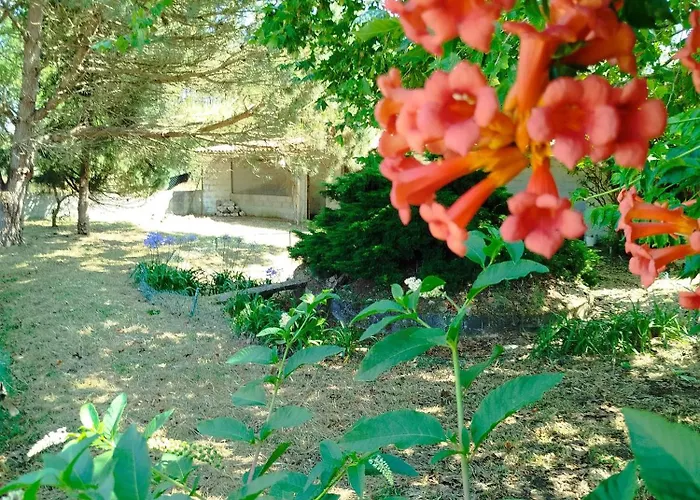 Lejlighed Cosy Loft By L'arche De Jo *